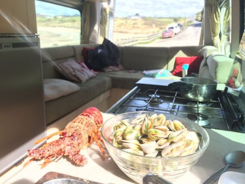 RV, hiring, travel, new zealand, 