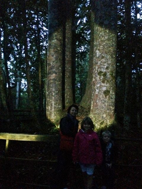 campervan, hire, north island, RV, 