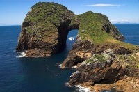 Dive Tutukaka