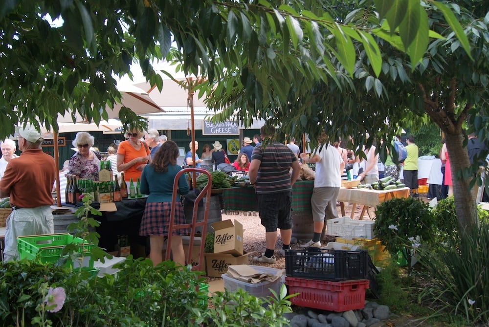 Matakana Farmers Market