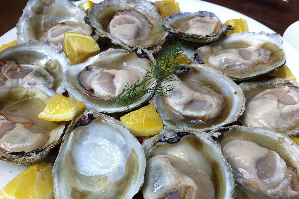 Bluff Oysters