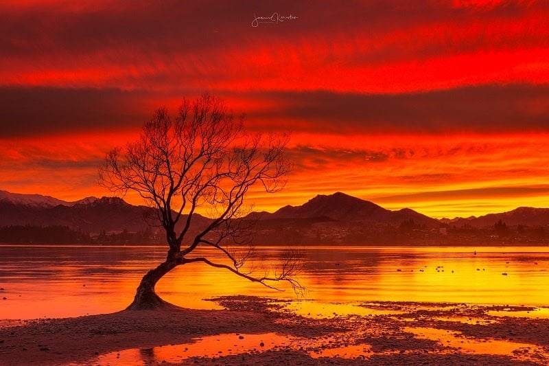 Red sunrise at Lake Wanaka