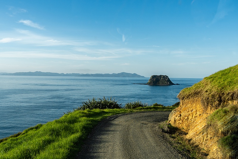 Road less travelled near Port Jackson New Zealand