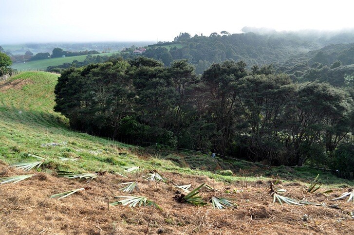 Wilderness Motorhomes team replanting trees