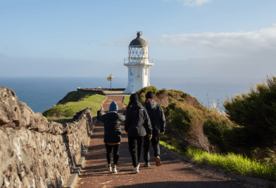 Auckland to Cape Reinga