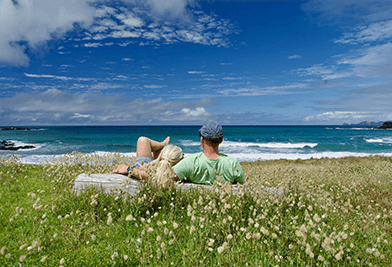 Christchurch to Auckland