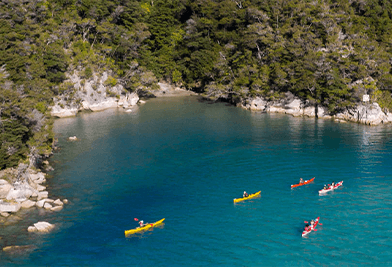 Christchurch to Nelson Road Trip