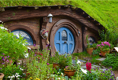 Lord of the Rings North Island Road Trip