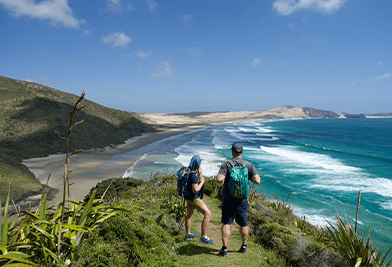 Ultimate New Zealand Road Trip