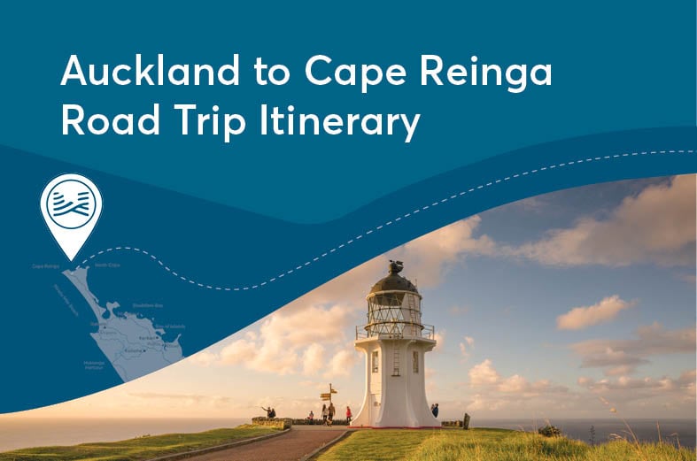 Auckland to Cape Reinga