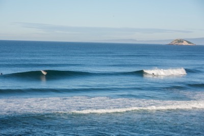 4. surfing-perfect-lineup-dunedin.jpg