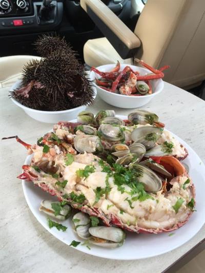 RV, road trip, north island, hire,