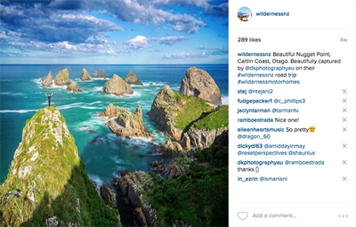 Environment, New Zealand, travel,