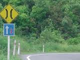 motorhome, hiring, road trip, rent,