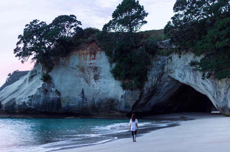 Into the Wild with Wilderness